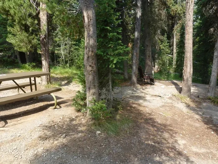 Lewis Lake site #55