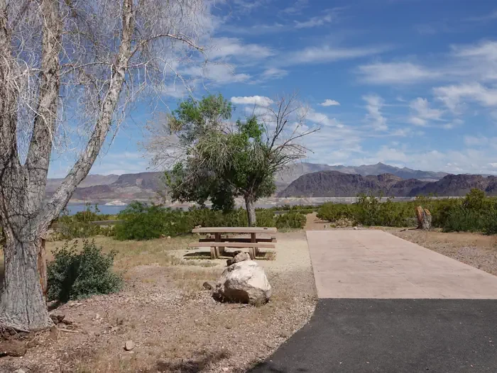 Site 77
