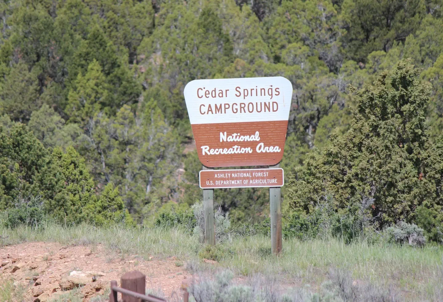 Cedar Springs Campground