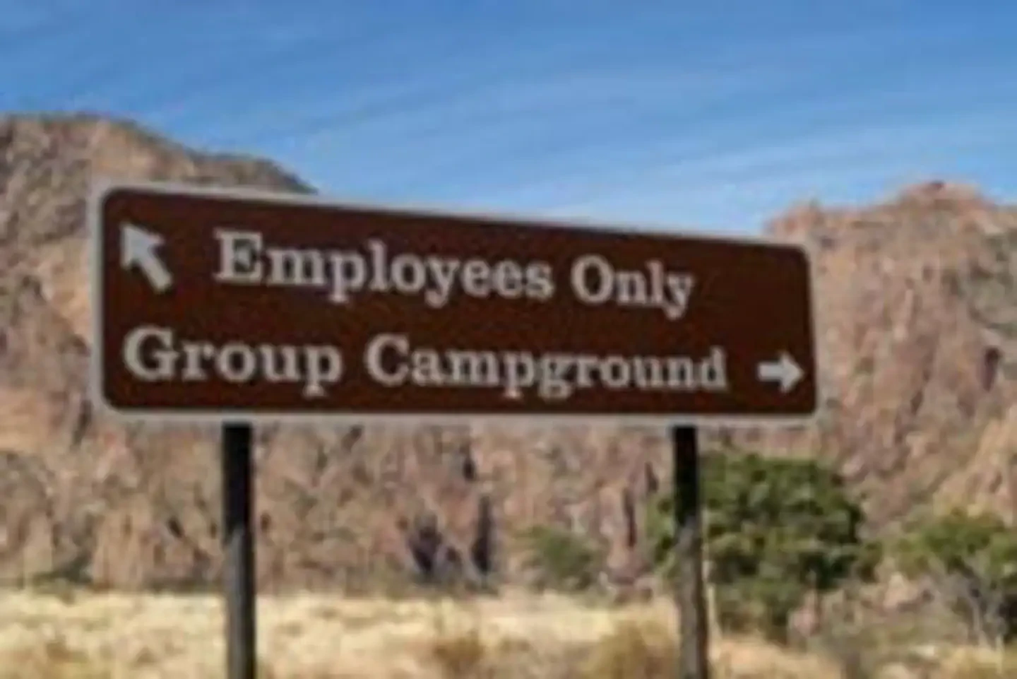 Chisos Basin Group Campground (Big Bend, TX)