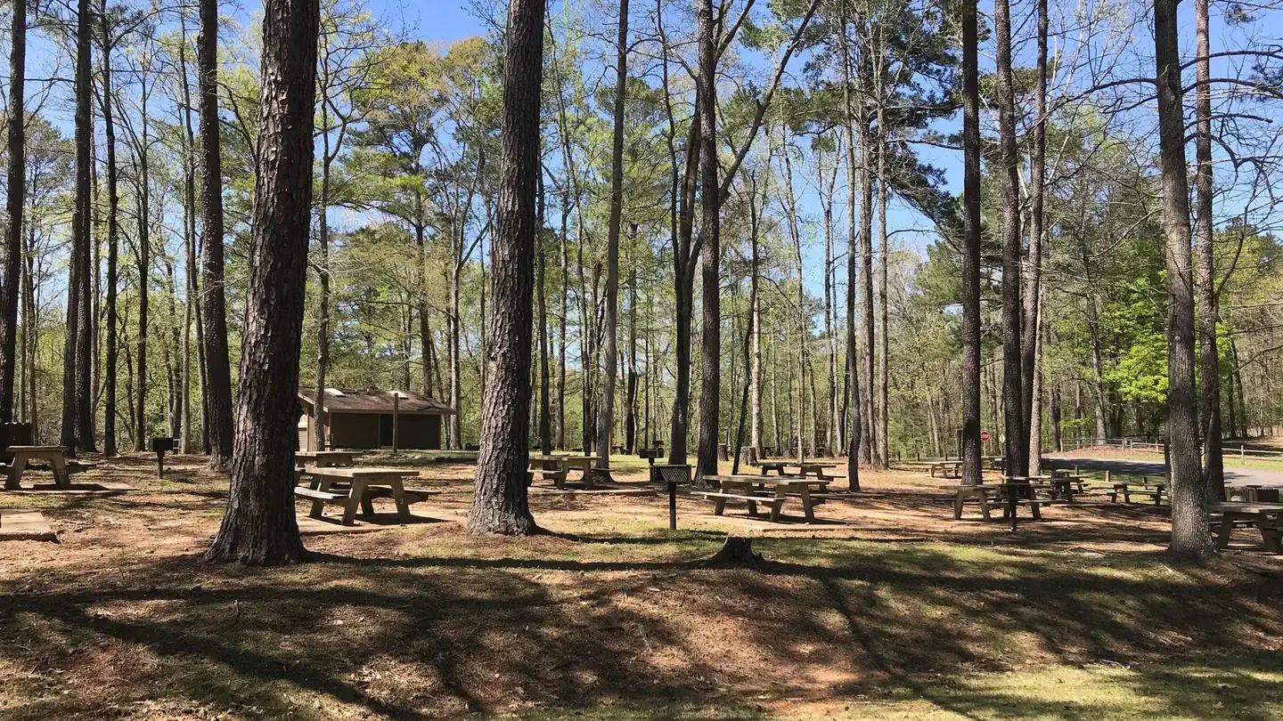 Rocky Branch Day Use Park