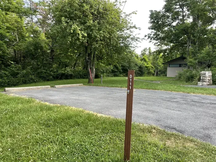 D111