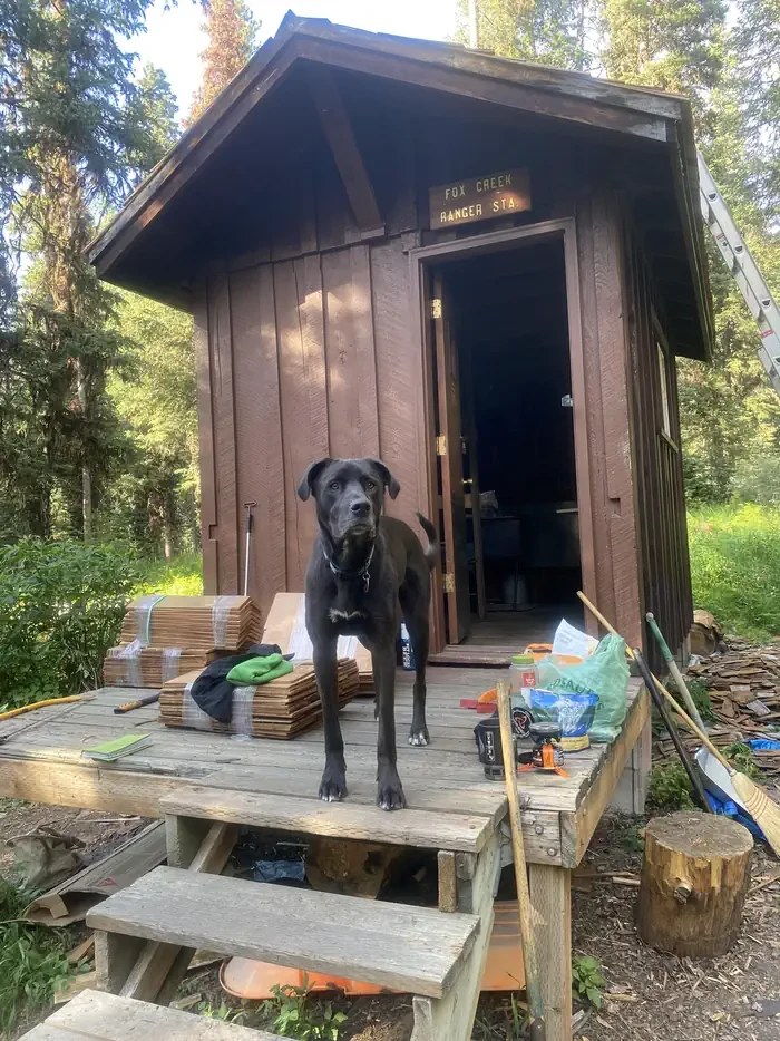 Fox Creek Cabin (mt)