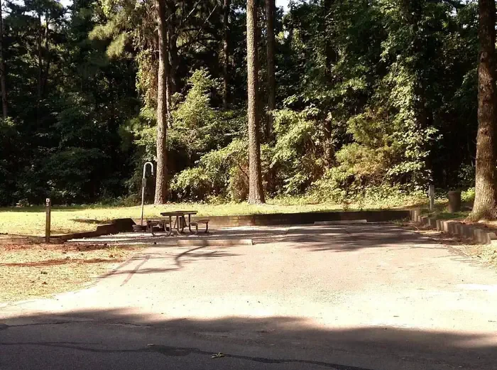D05