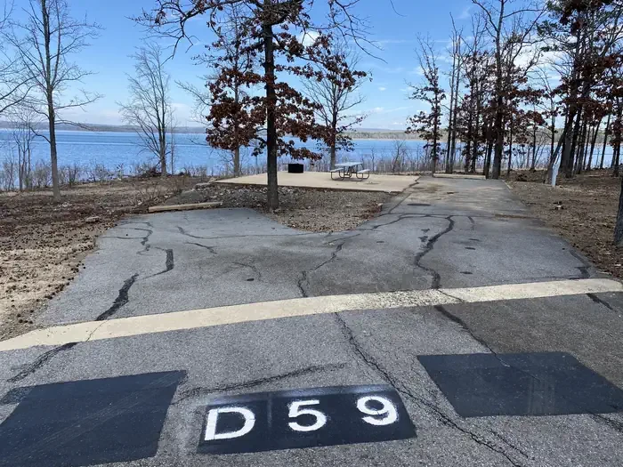 D59