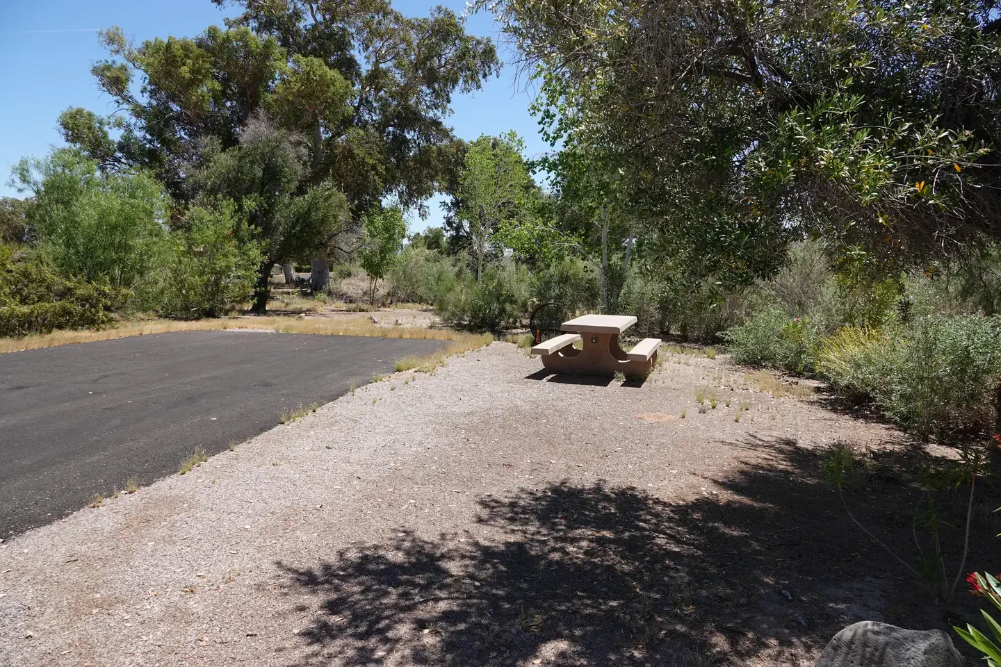 Site 43
