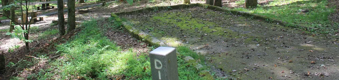 D01