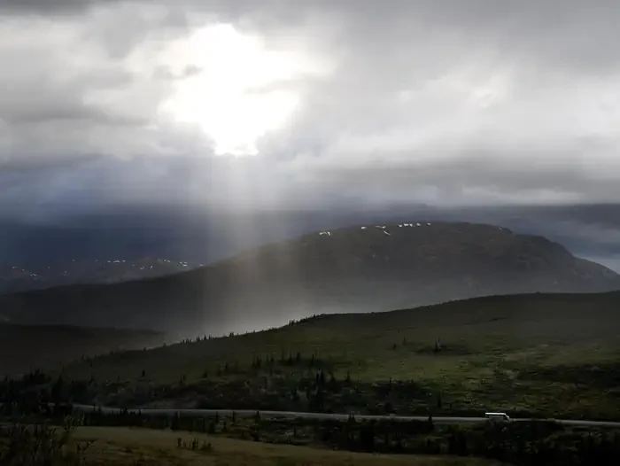 Denali Park Road Timed Entry (2021)