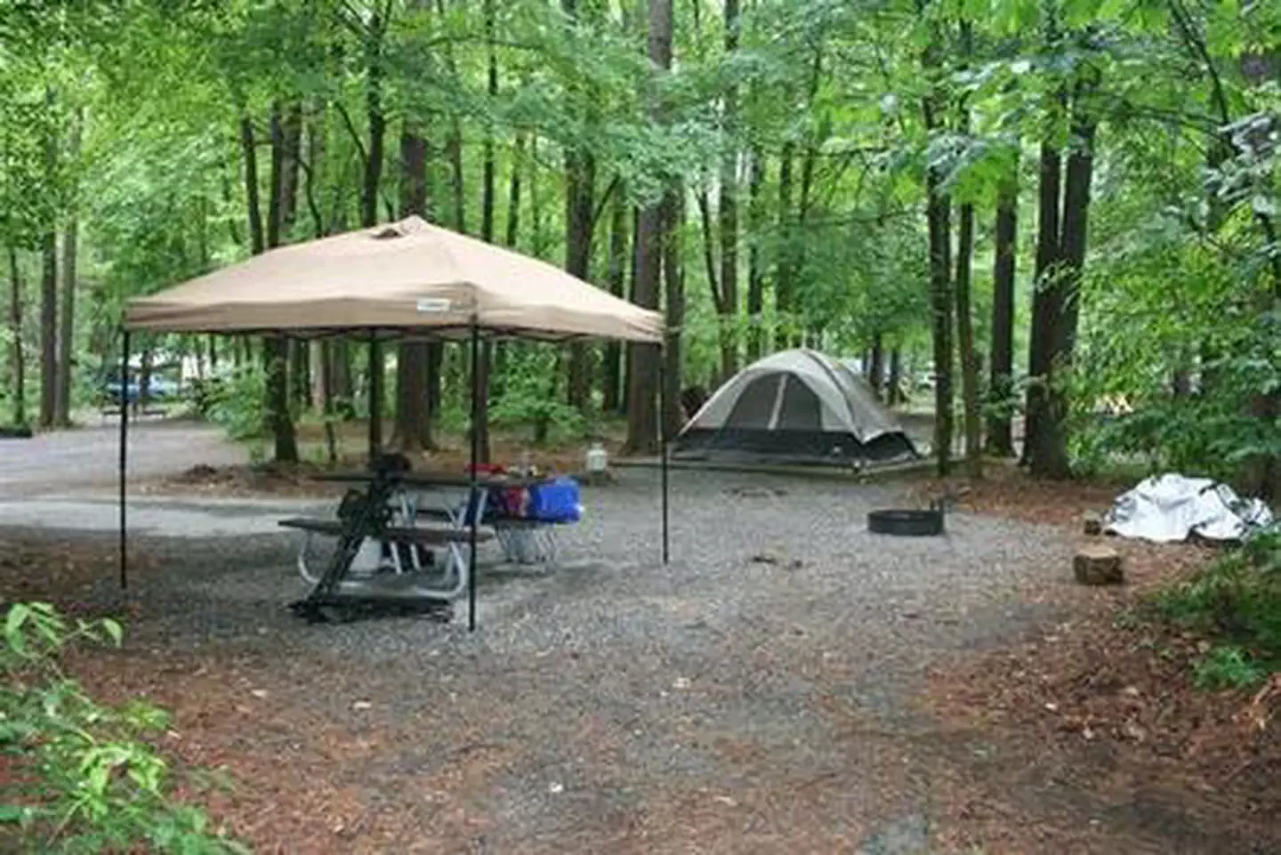 Cataloochee Campground