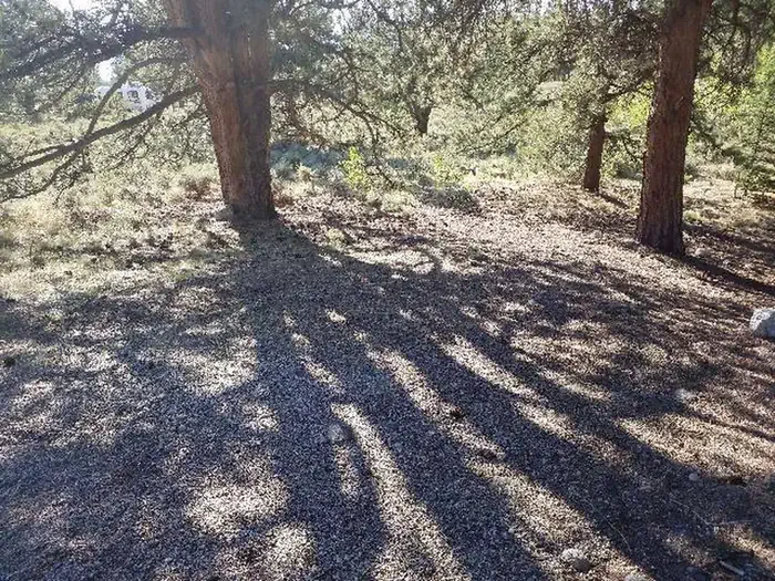 060
