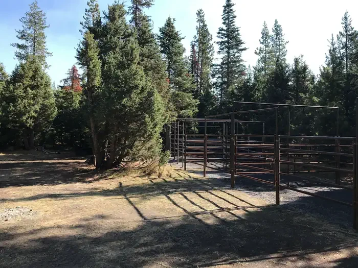 006 - 4 Horse