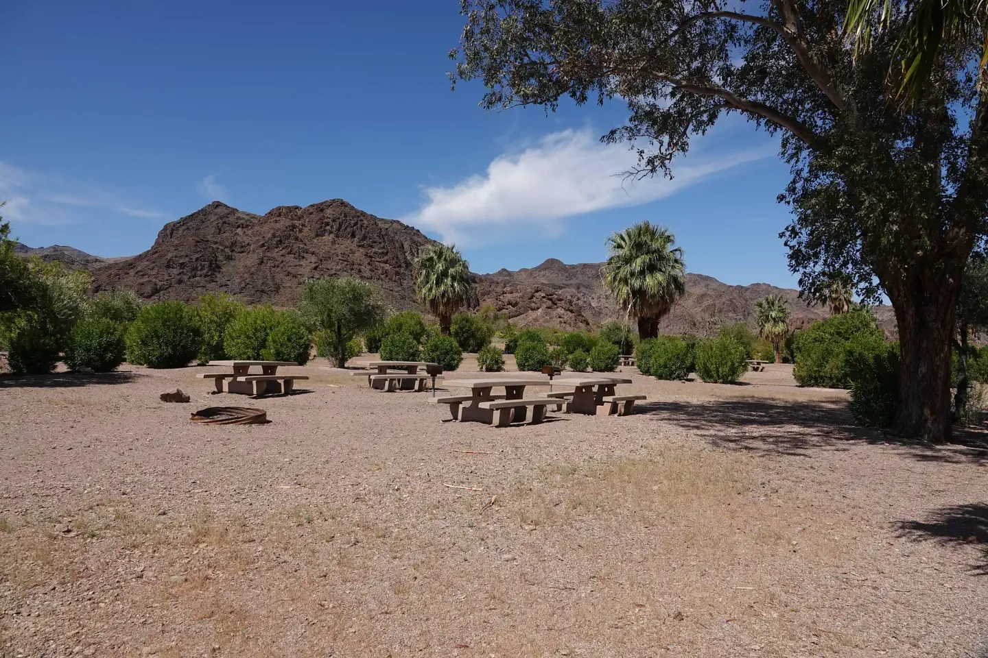 Group Site 2