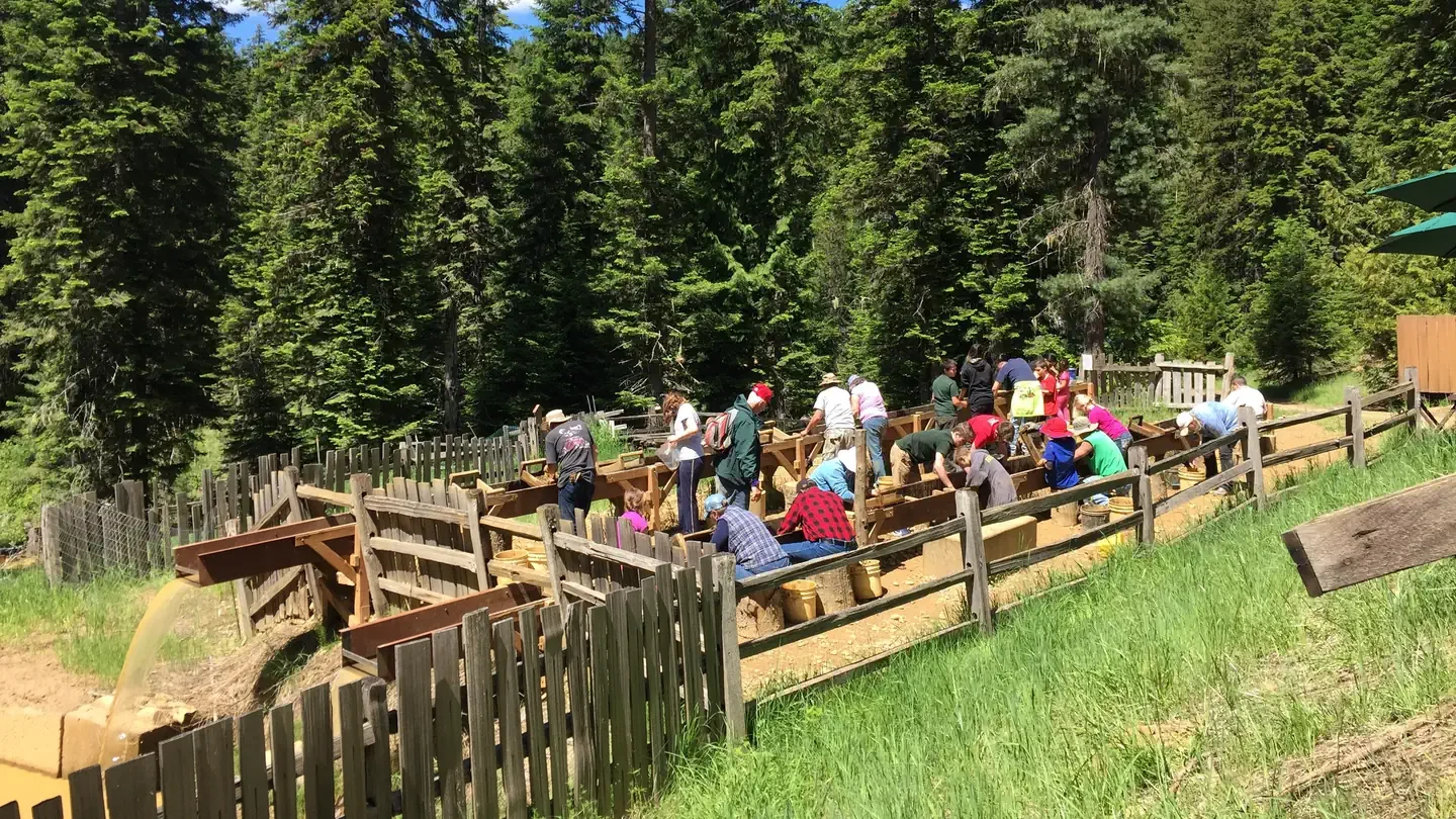 Emerald Creek Garnet Area Tickets