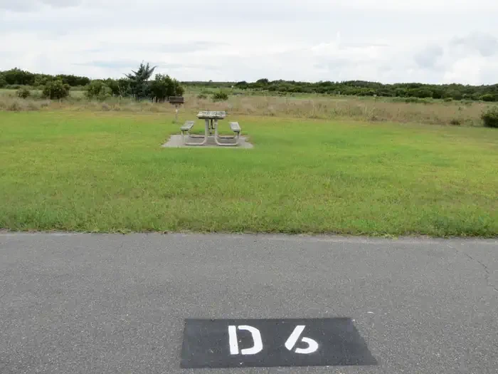 D006