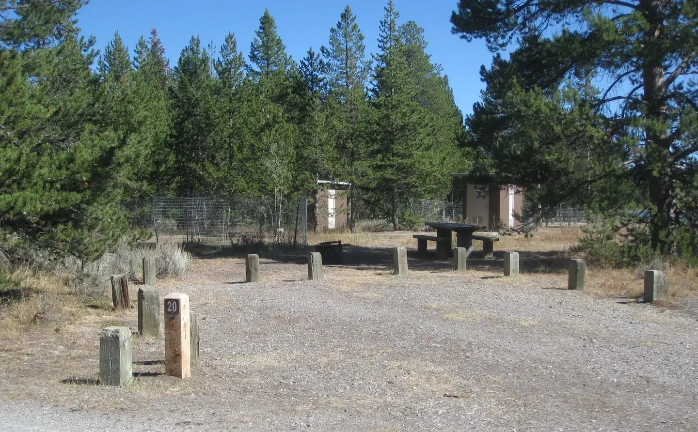 20