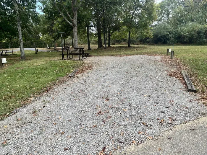 C031