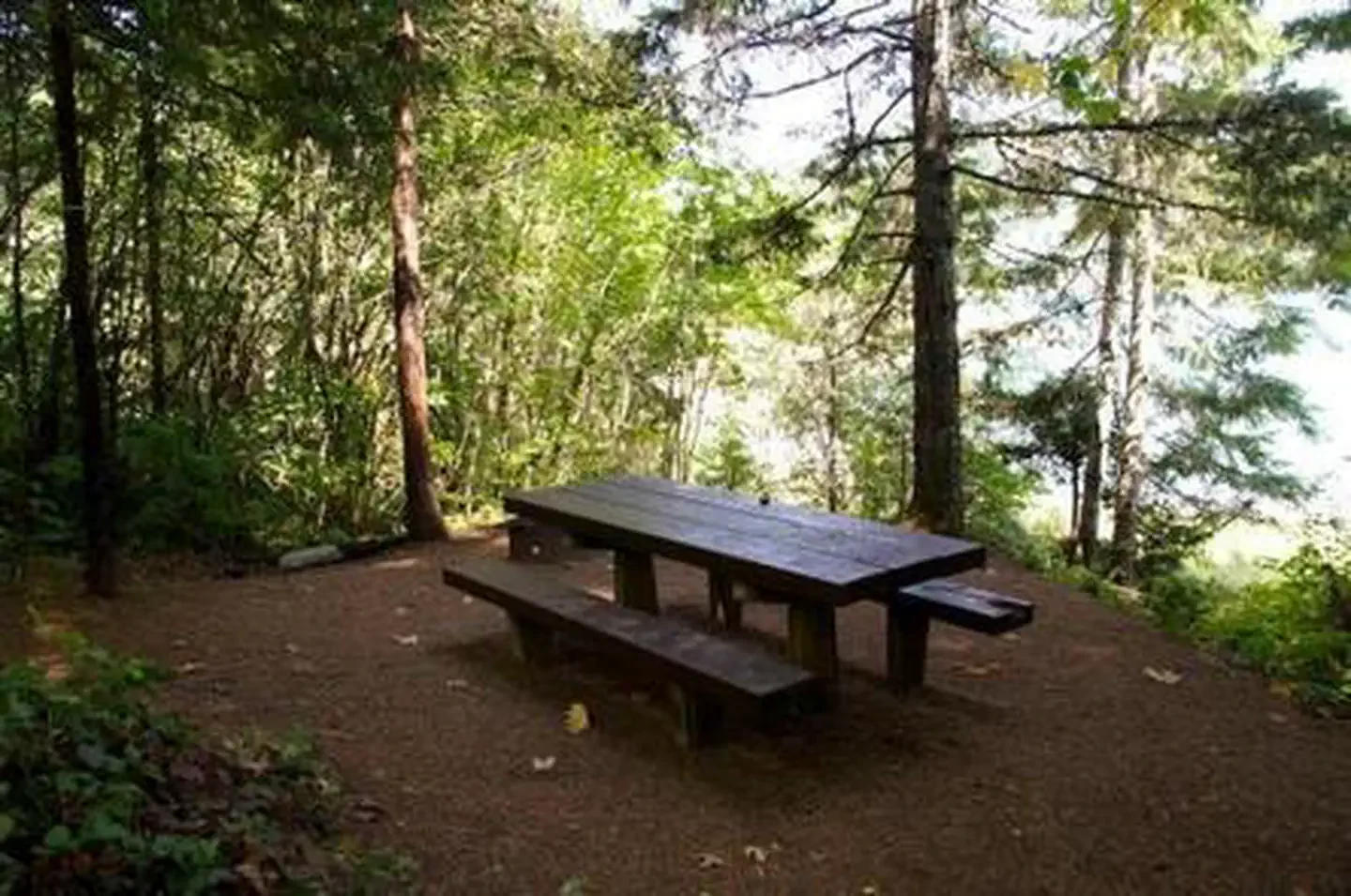Packard Creek