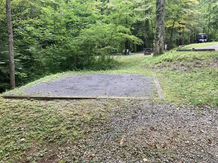 A24