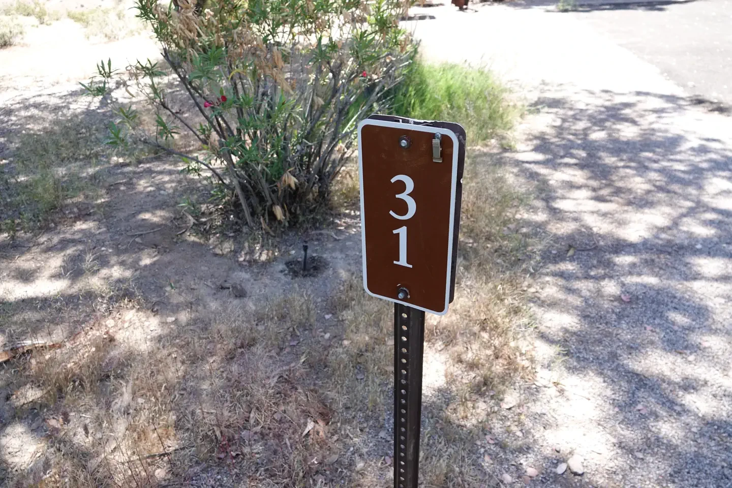 Site 31
