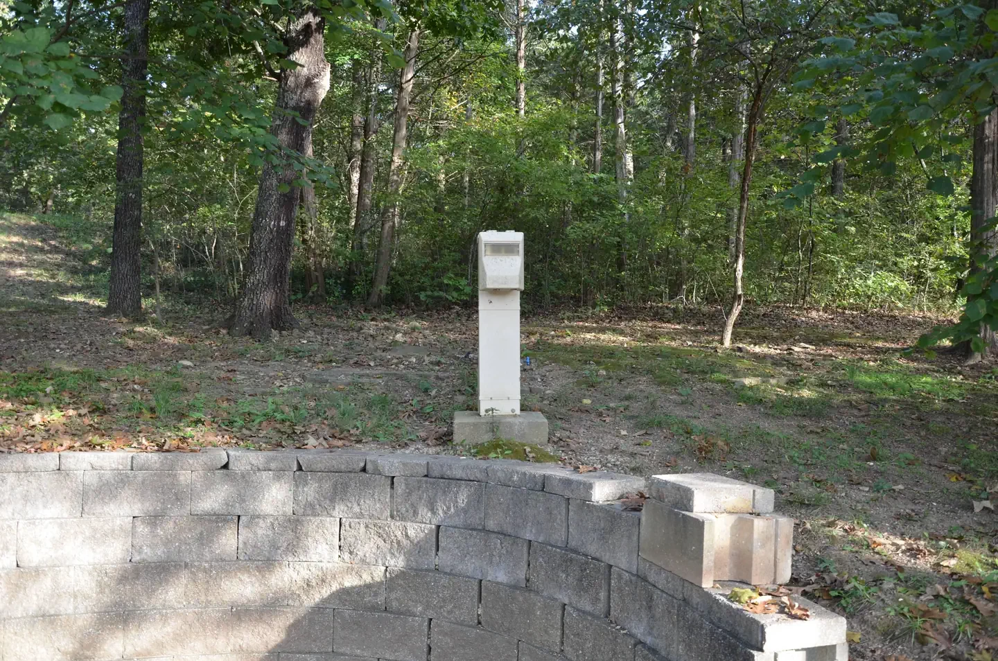 42