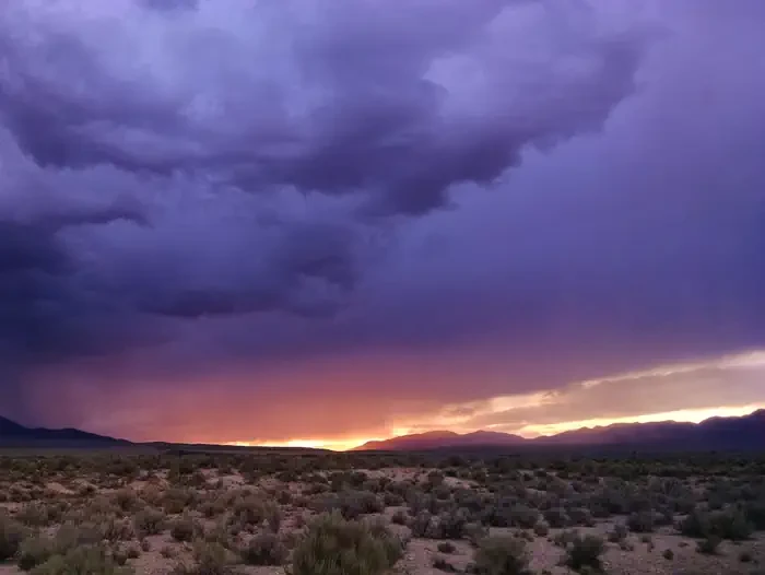 Lower Lehman Creek Campground