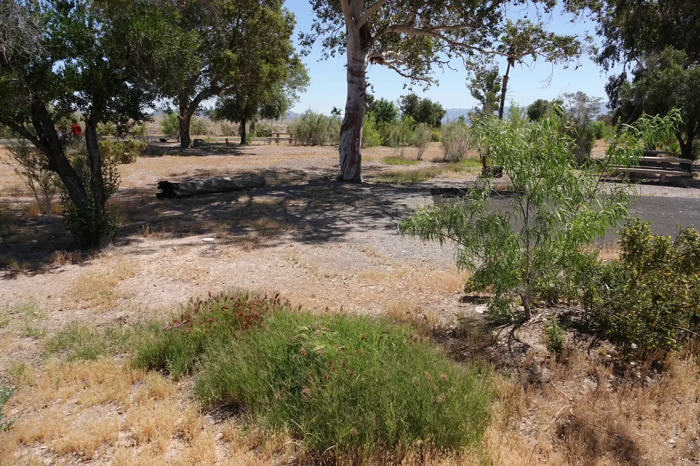 Site 4