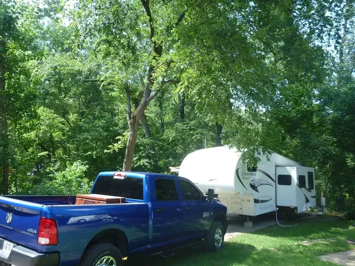 D65