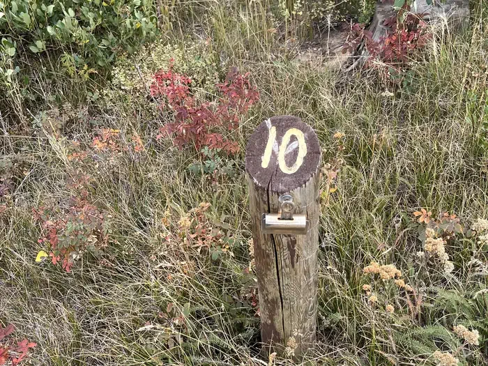 010