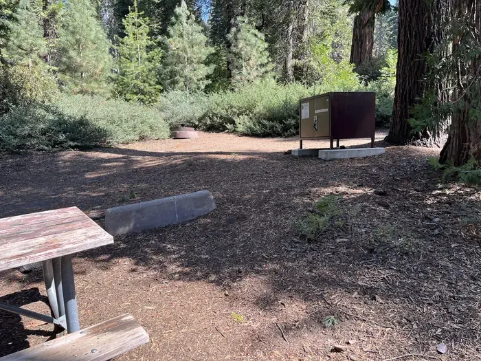 Site:  16