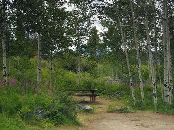 Narrows Campground