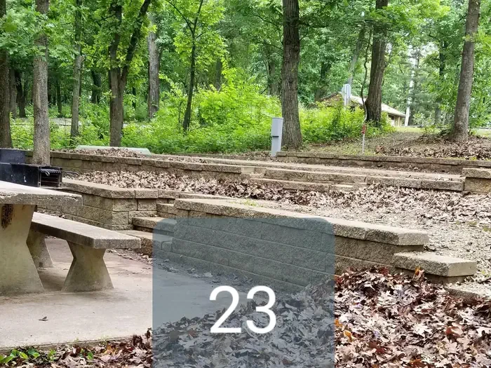23
