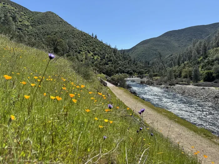 Railroad Flat Campground