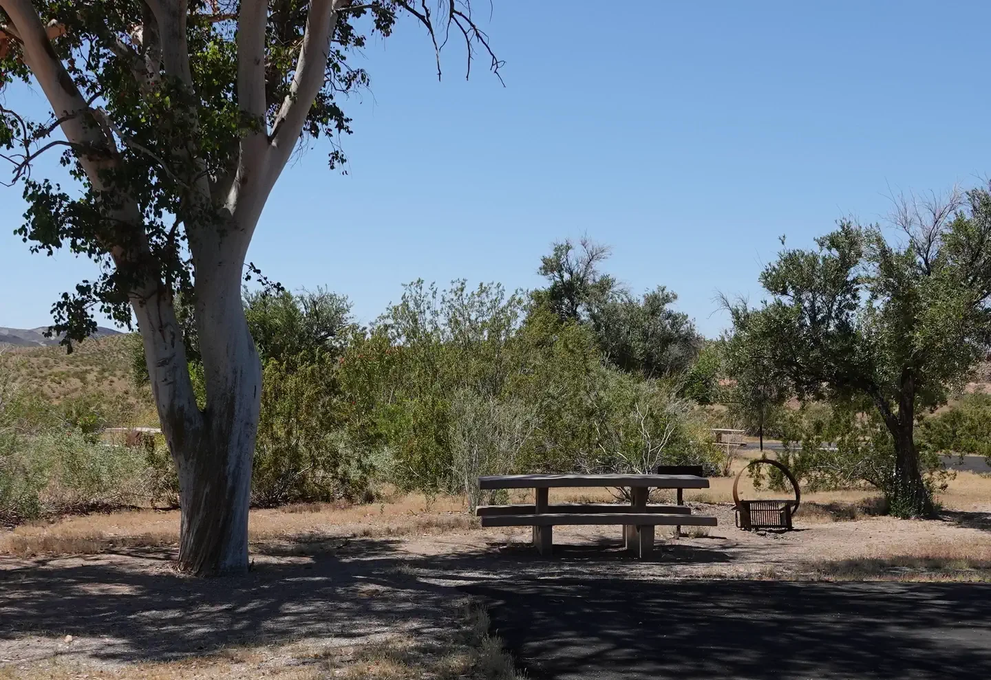 Site 53