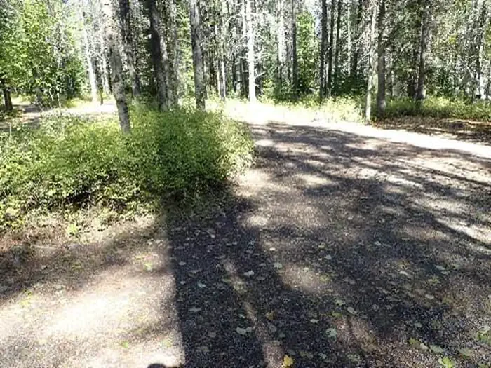 C138