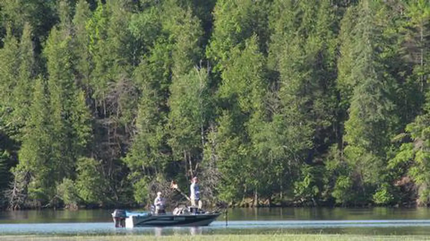 Ausable River Camping