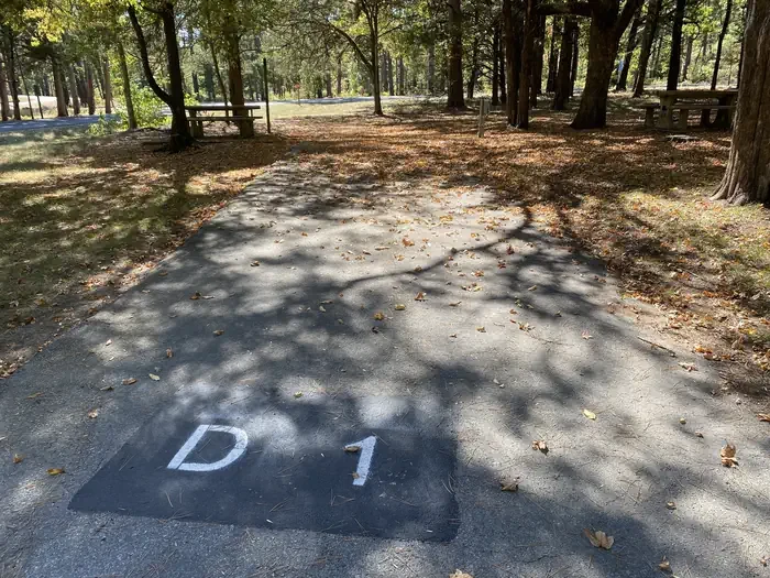 D01