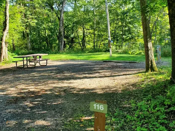 116