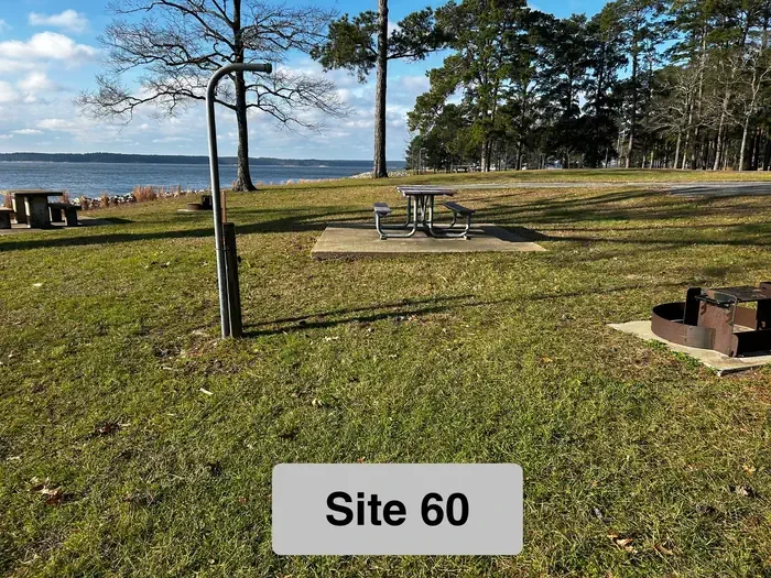 60
