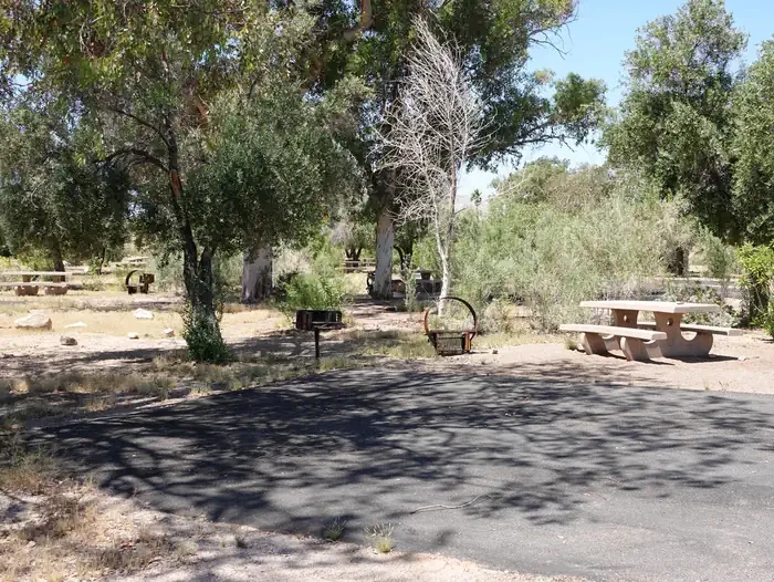 Site 39