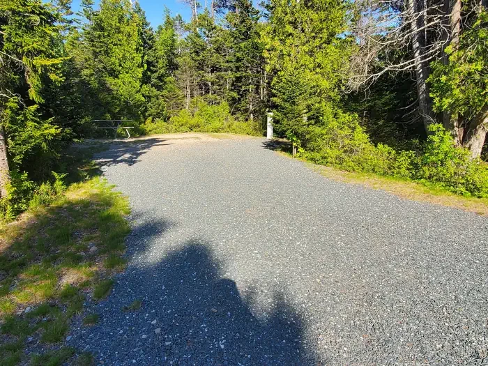 A42