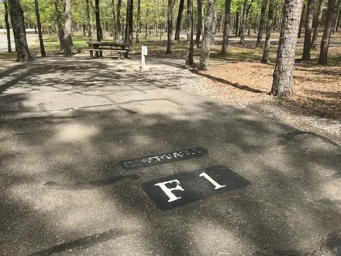 F01