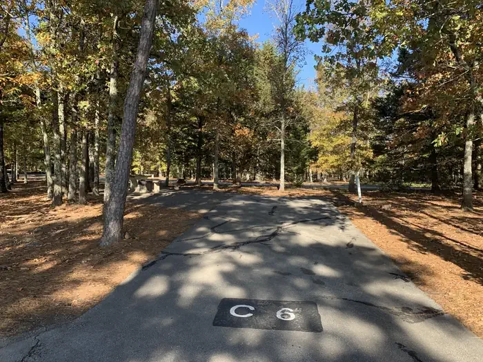 C06