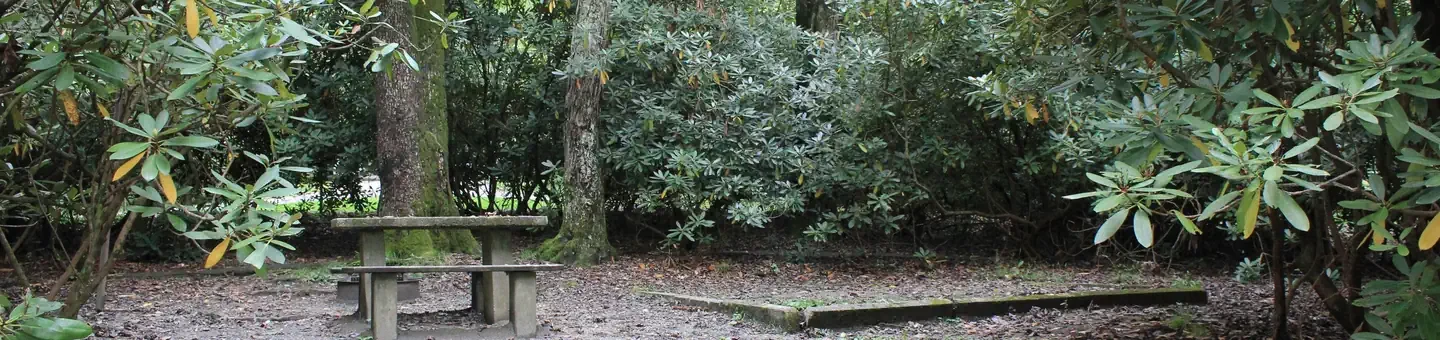 A14