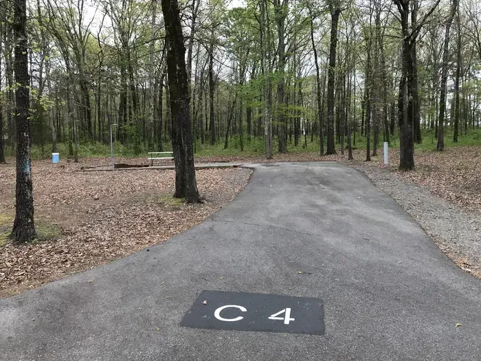 C04