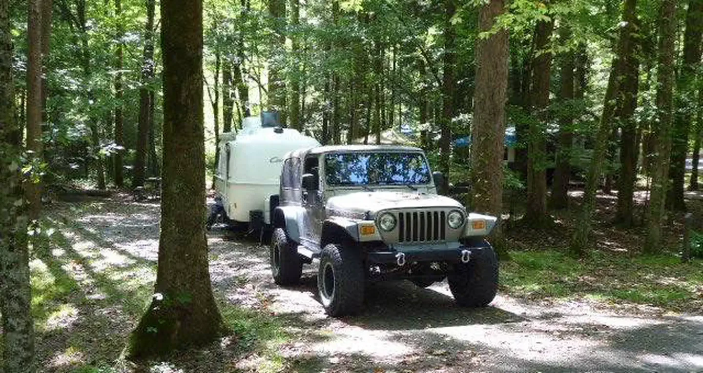 B17