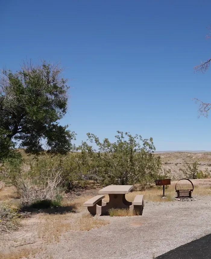 Site 56
