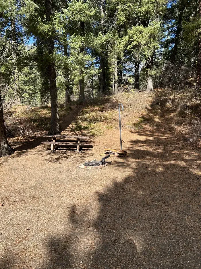 Hayfork Group Cg