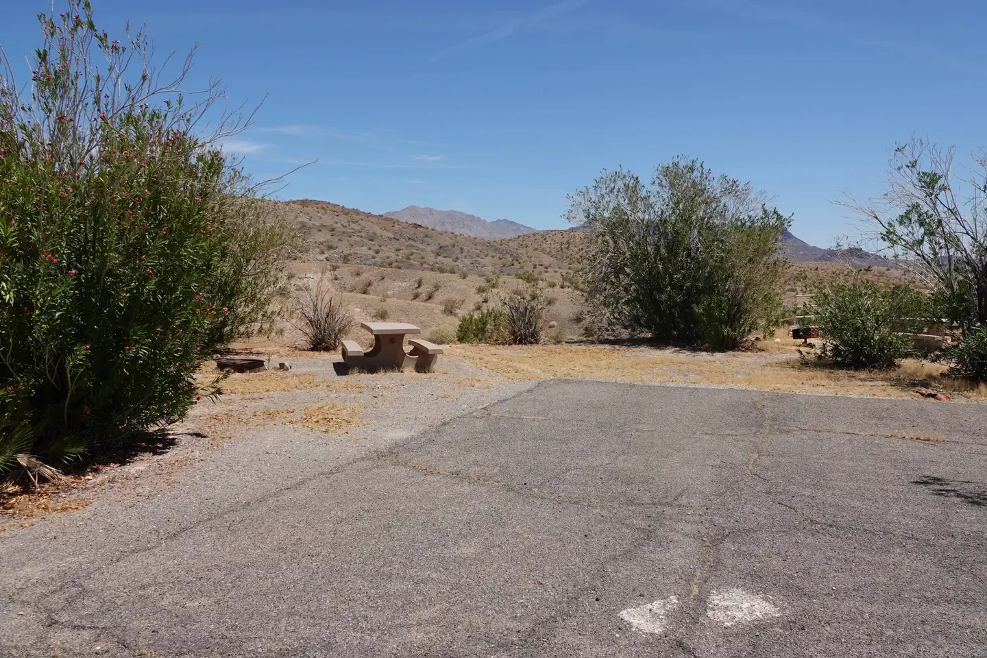 Site 38