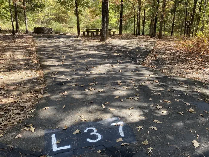 L37