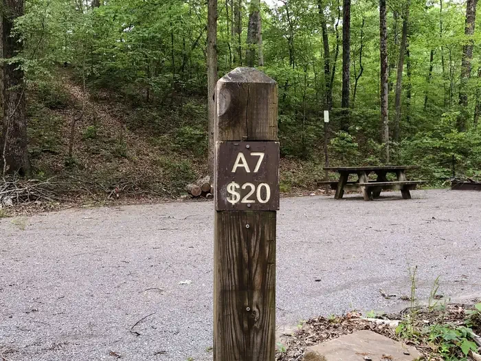 07